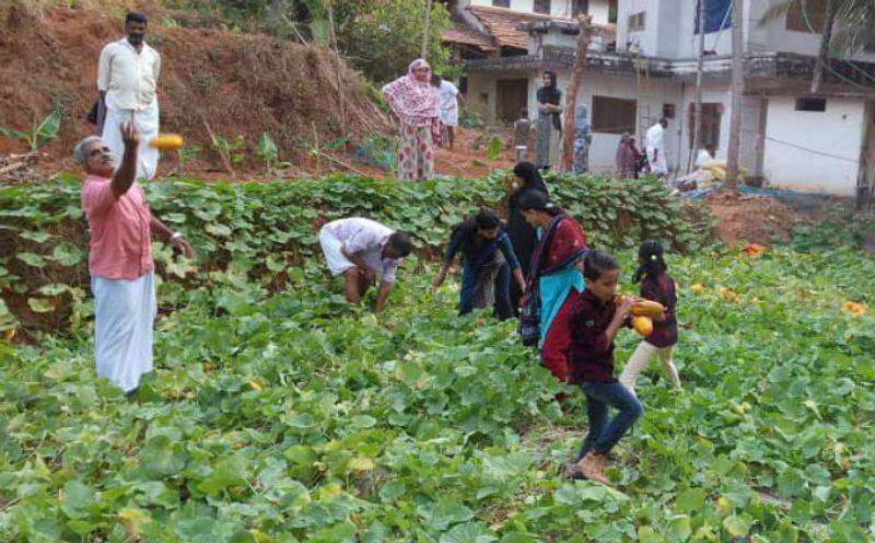 group farming in vanimal organised by a whatsapp group