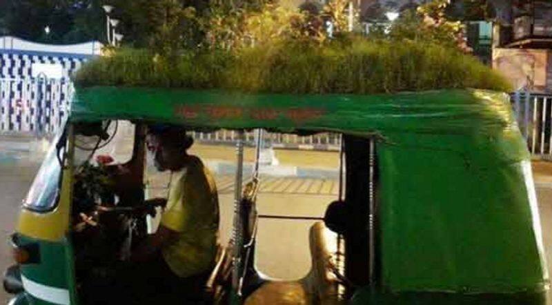 auto driver made plants on the top of the auto