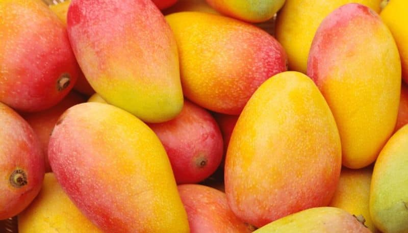 benefits of eating mangoes in summer season