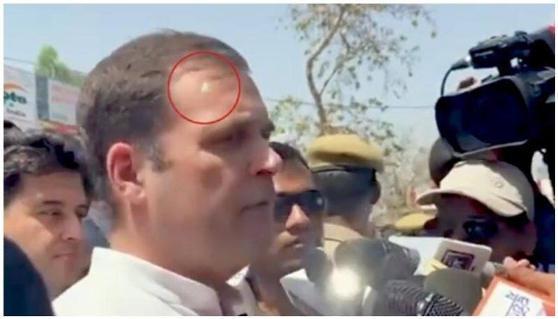 Rahul gandi had no security threat; green light came from mobile phone, says spg