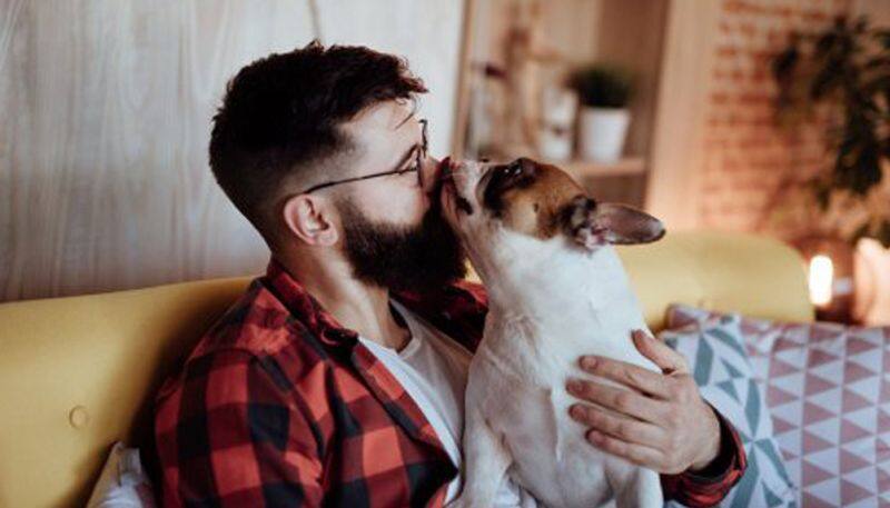Bearded men carry more germs than dogs; study