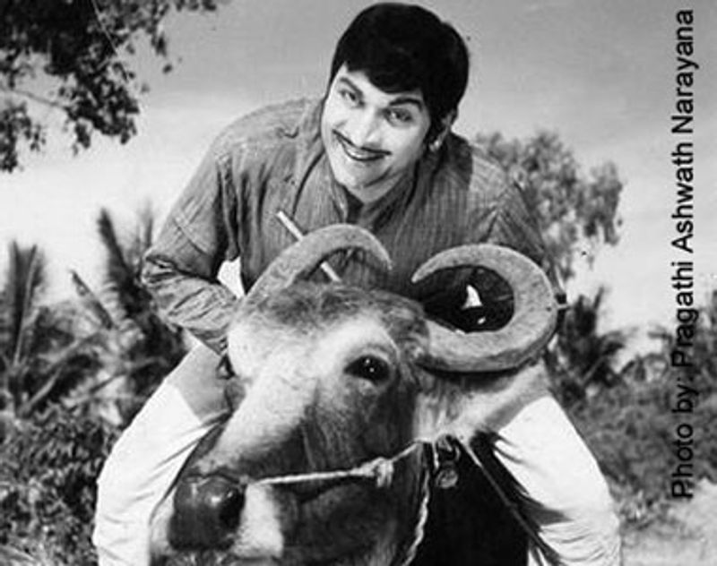 11 movies of Rajkumar that makes him Kannadigas Annavru