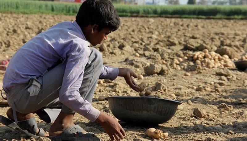 the story behind lays potato case and reasons behind Pepsi co vs Gujarat farmers case