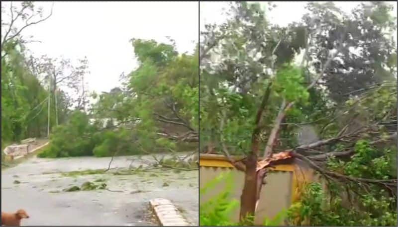 Cyclone Fani: Death toll rises to 10 in Odisha