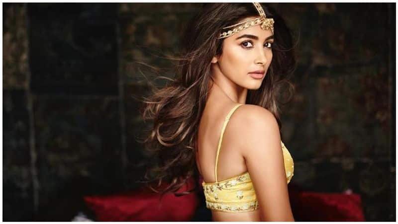 actress pooja hegde walks out from the movie valmigi