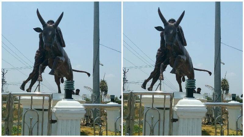 Mystery people damaged the Jallikattu bull idol at Pudukottai