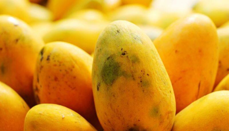 carbon stone mango fruit sale in more palace