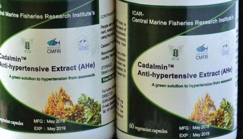 Anti-hypertension product  developed   from seaweed by CMFRI