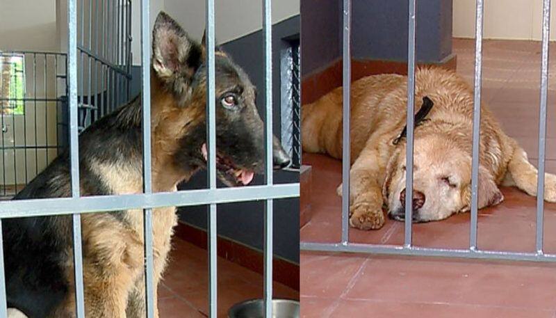 Kerala police arrange super cool retirement plan for police dogs in thrissur