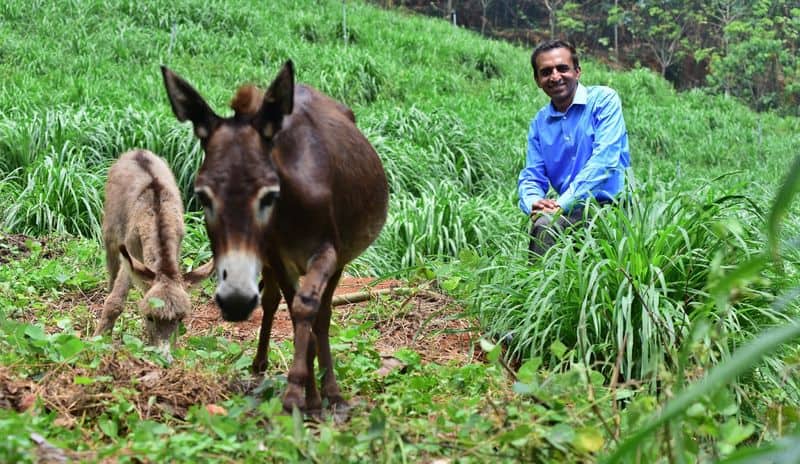 A man earns in crores only growing the donkey and its milk
