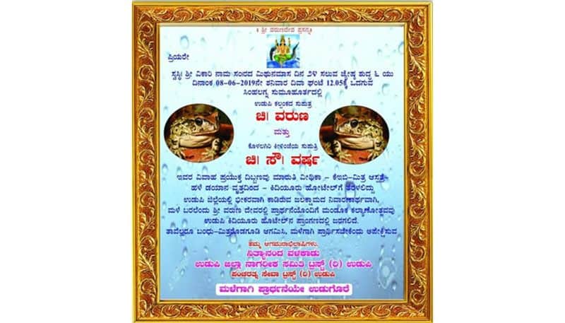 Wedding for frogs for rains in Udupi