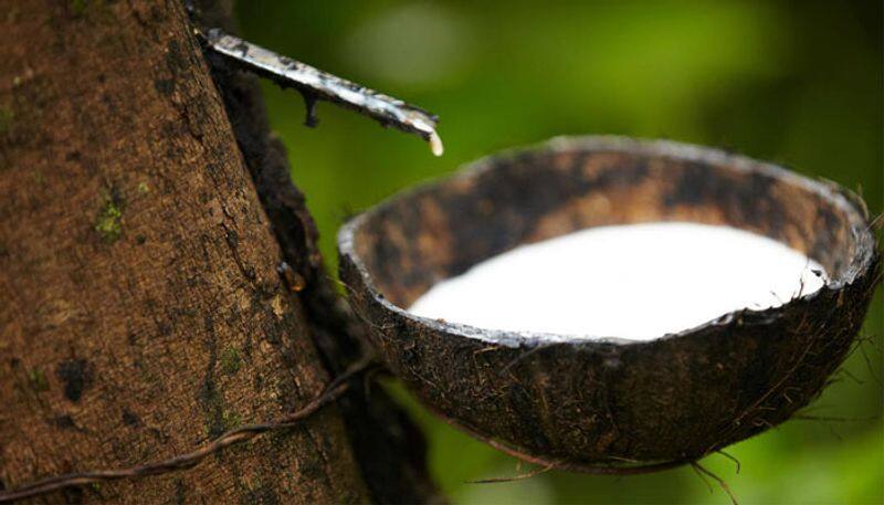 rubber production incentive scheme by Kerala government, fifth stage registration starts