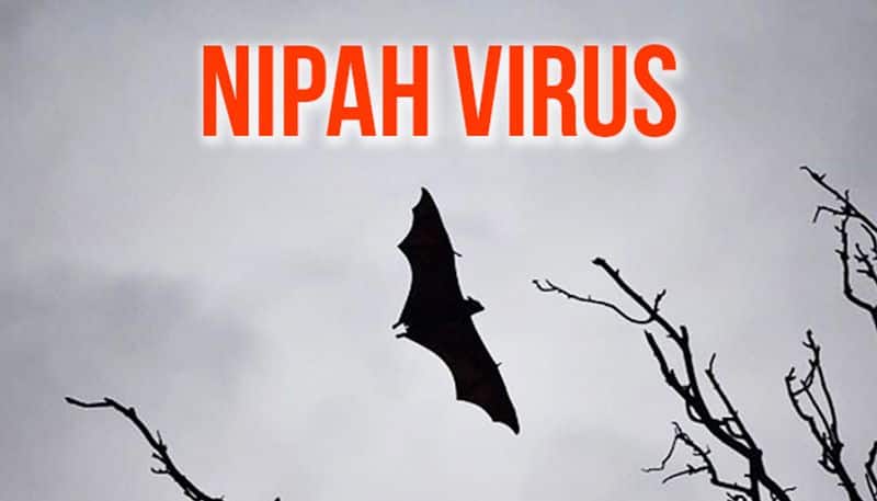 Puducherry Nipah suspect still critical epidemiologists list out people came contact patient