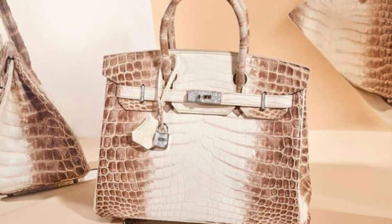 Mumbai Indians: Check out Nita Ambani's Rs 2.6 crore Hermès Himalaya  crocodile diamond Birkin bag