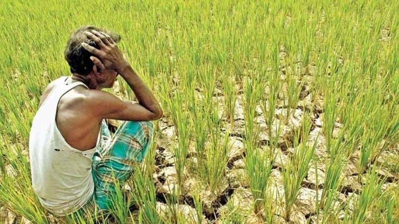 farmers protested in chennai for crop loan discount
