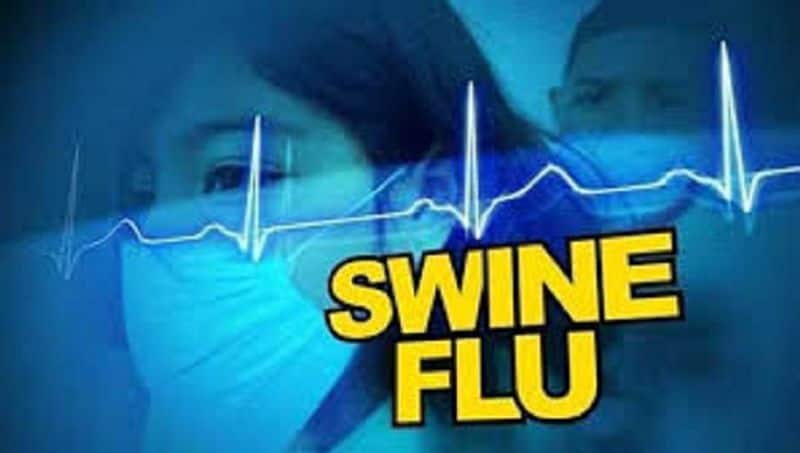 swine flu spreading in tamilnadu and more than 500 members suffered and getting  treatment