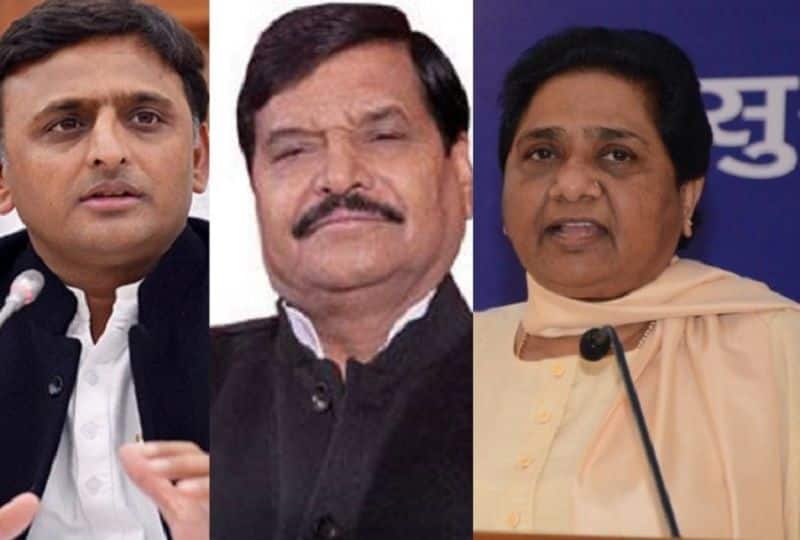 has Mayawati and shivpal yadav  decided to end the political career of Akhilesh Ydav