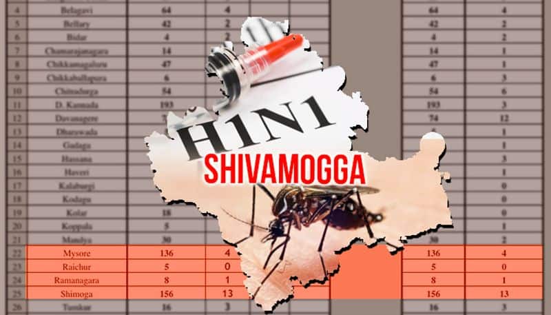 karnataka H1N1 dengue chikungunya cases on the rise in Yeddyurappas hometown
