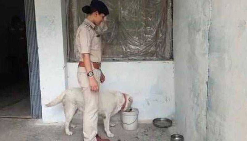 owner accused in jail for murder case police care for pet dog