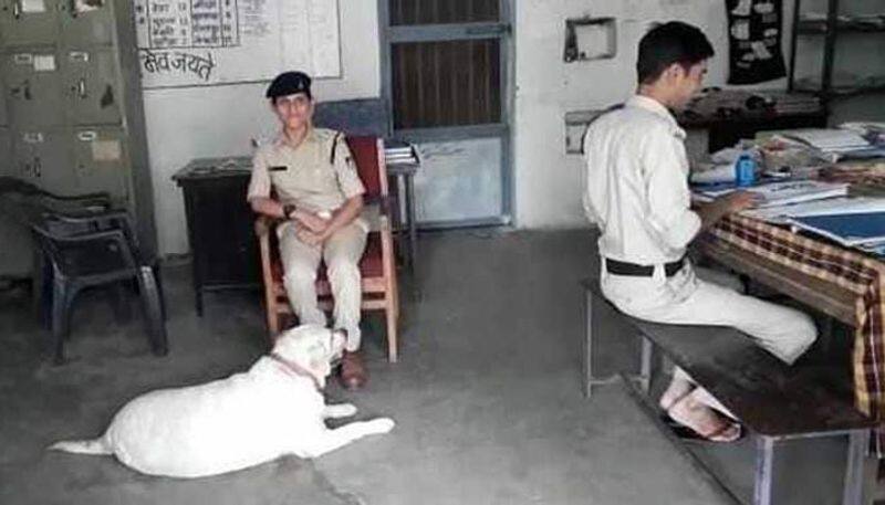 owner accused in jail for murder case police care for pet dog