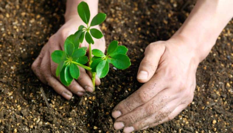 All for Mother Nature! Auto driver in Kerala has planted 23,000 saplings over 20 years!
