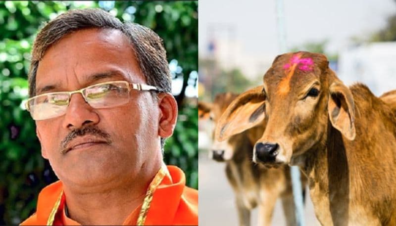 Cows inhale exhale oxygen can cure breathing problems Uttarakhand CM Trivendra Singh Rawat