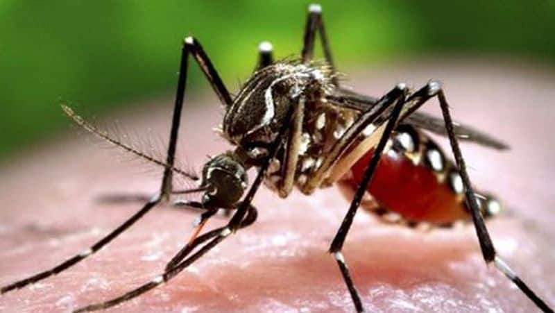 Bihar floods 900 test positive for dengue