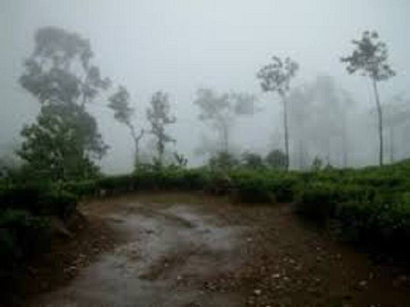 heavy rain in nilgiri and recorded 911 cms and breaked 76 yrs record