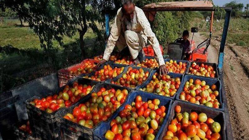 tomato price shoots up to rs 300 per kg in pakistan