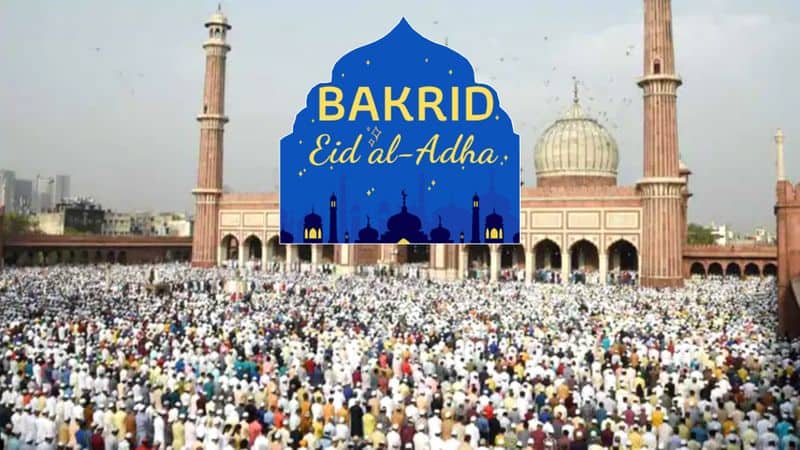 Jammu and Kashmir celebrates Eid-Al-Adha Celebratory messages pour in on Twitter StopKillingAnimals trends