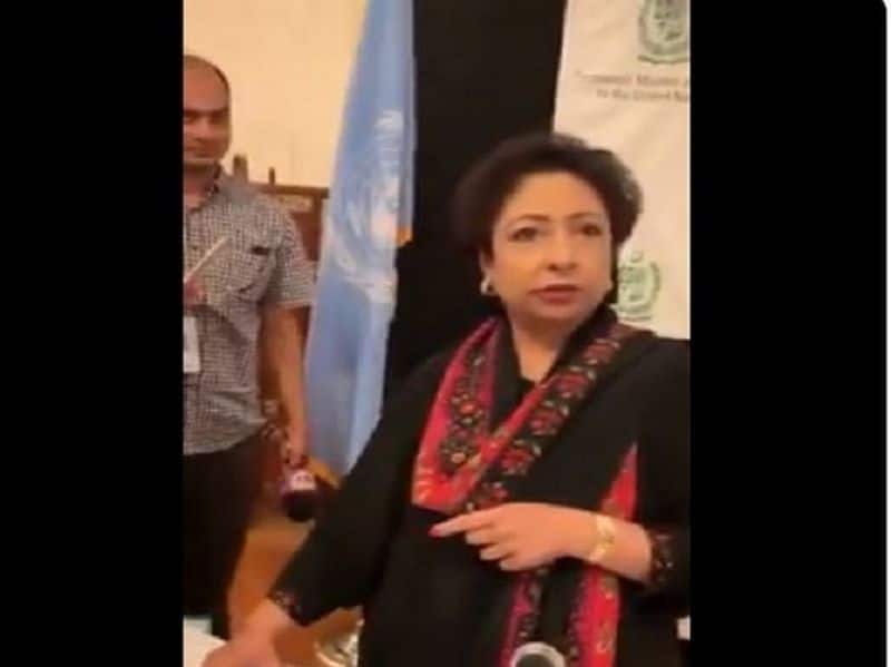 Imran kick out Maleeha lodhi from representative in UN