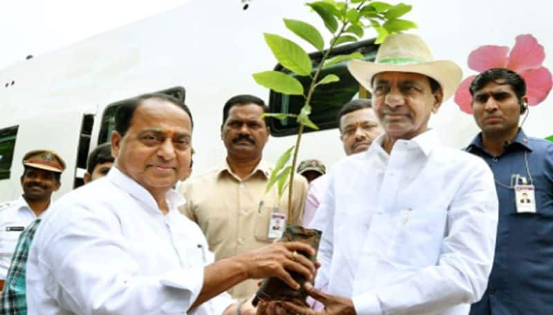 KCR asks collectors to chalk out plan for forest restoration across state