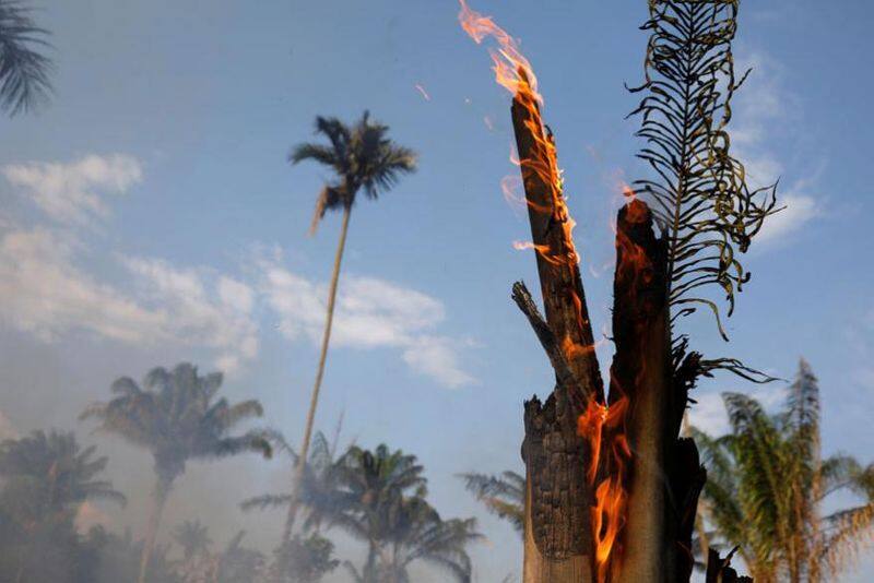 Wildfires raging in Amazon rain forest hit record
