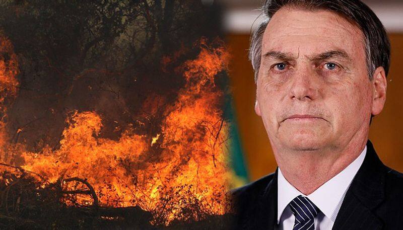 amazon forest fire brazil govt decided send army