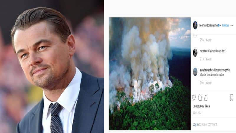 Amazon Rainforest fire: Leonardo DiCaprio pledges $5 million in aid