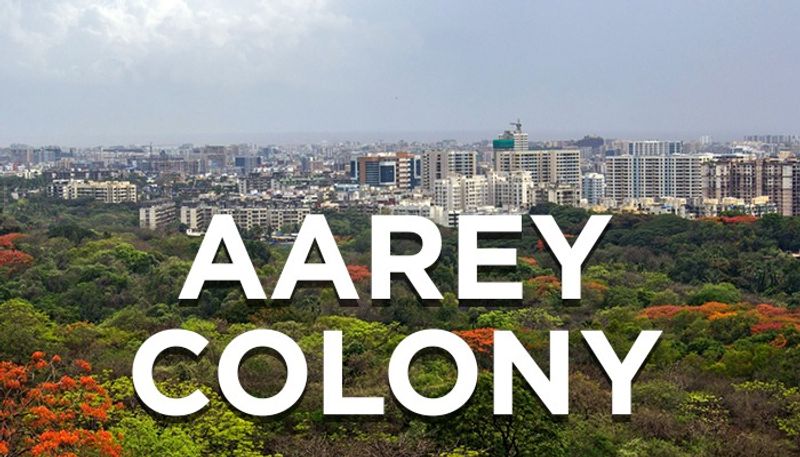 Aarey forest Activists write to Japan PM Shinzo Abe seeking intervention