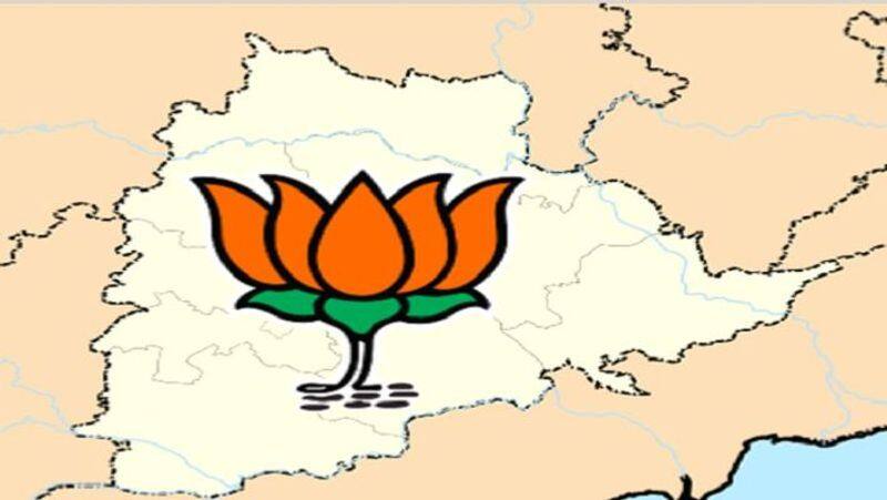 Five Action Leaders to be appointed in Tamil Nadu BJP