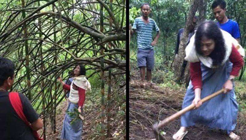 man planted 300 acre forest Punshilok
