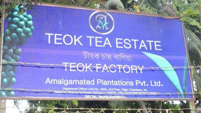 Jorhat Tea Workers killed  their savior, the one who even donated blood to save one of them
