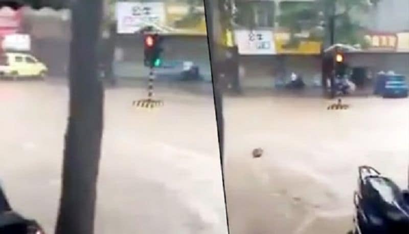 Viral video: Traffic stranded but signal floats due to heavy rains in Mumbai