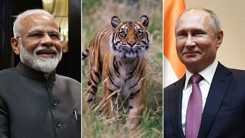 18 years of Friendship between Modi and Putin