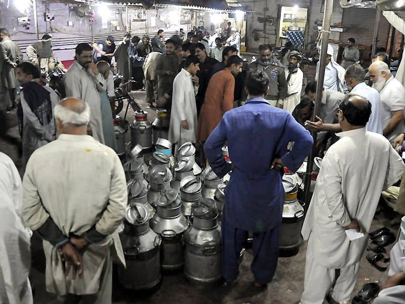 Milk at Rs 140/litre, costlier than petrol in Pakistan