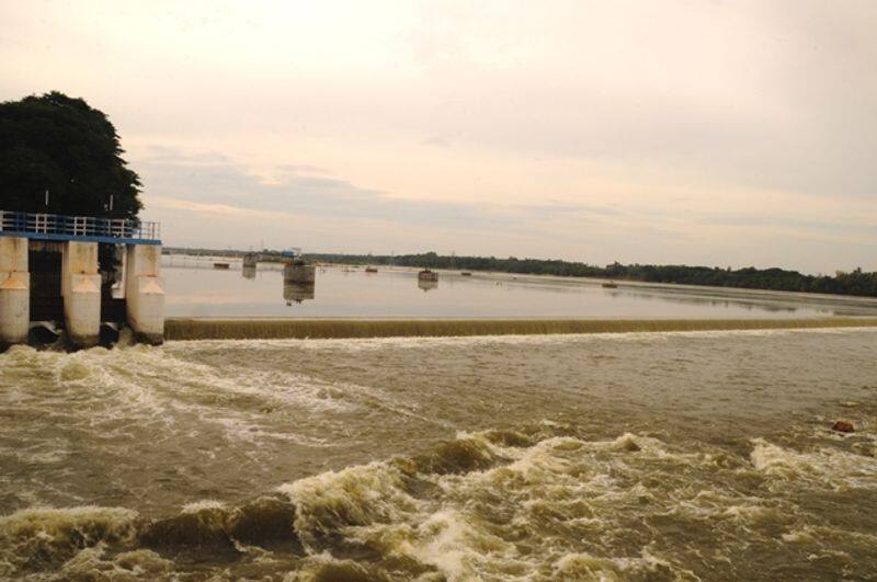 kaveri river  is mother of tamilnadu- harbhajan singh video