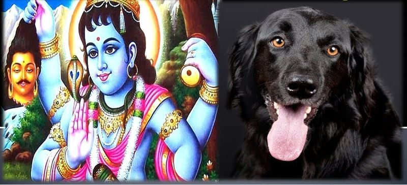 Know how Lord Shiva changed the law of enlightenment for a small dog and included it in his ganas