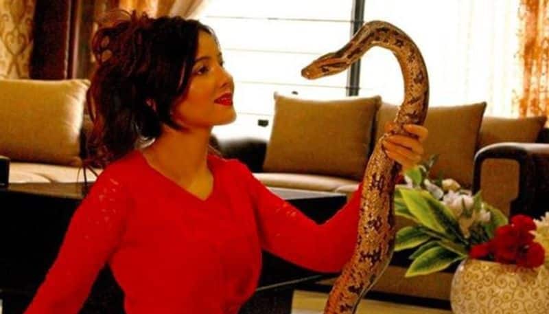 Pakistani singer Rabi Pirzada who threatened Modi with snakes bitten by nude video leak