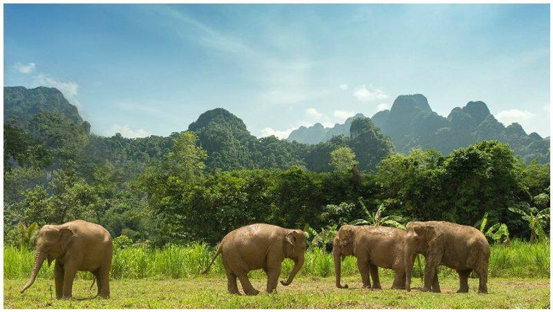 manirathnam to shoot ponniyin selvan at thailand