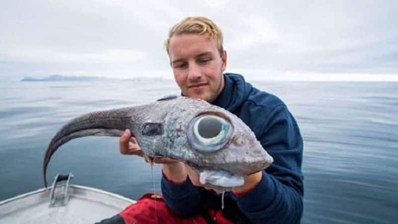 Norway: Man catches dinosaur fish, picture goes viral; here is the truth