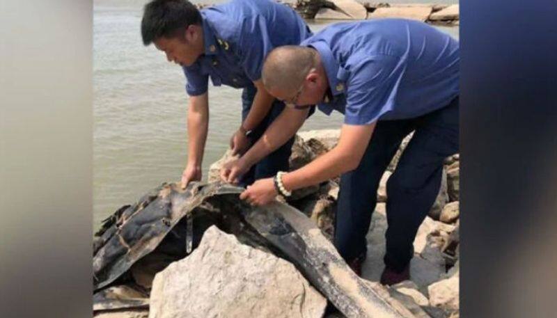 mysterious long monster spotted in chinese river