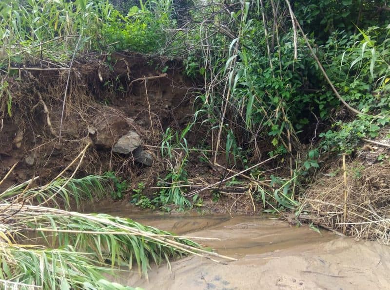 illegal sand smuggling behind carrying women's dead body via river