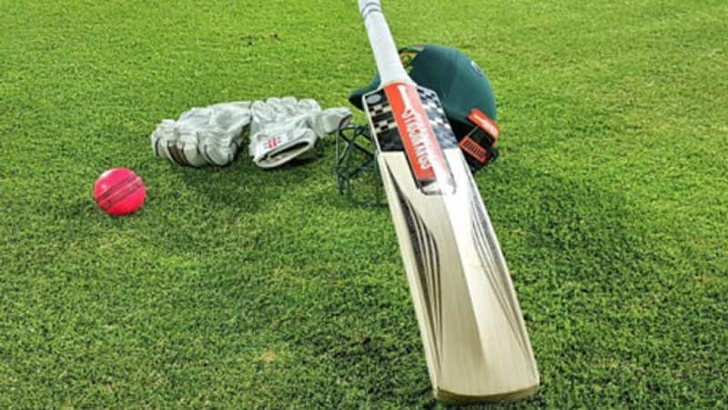 Tamil Nadu Cricket Association target DMK ponmudi son